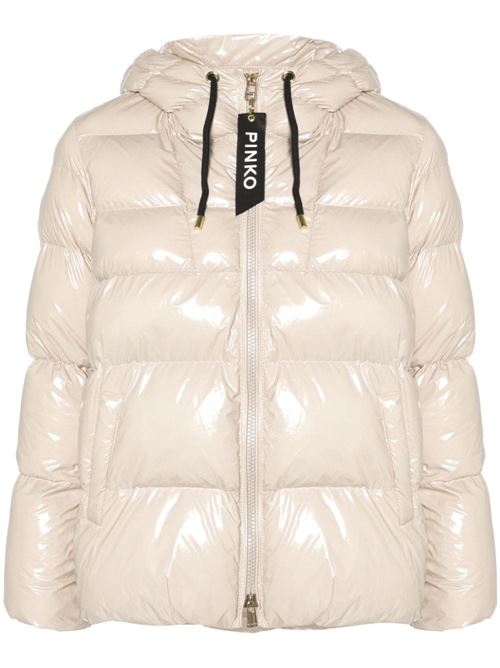 Shiny women's down jacket Pinko | 101597-A11K.D05